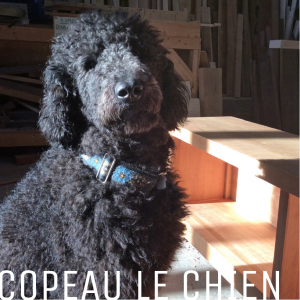 copeau le chien